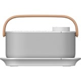 Sony SRS-LSR200 haut-parleur portable et de fête Blanc Blanc, Avec fil &sans fil, USB Type-C, Blanc, Boutons, IPX2, TV