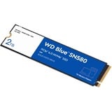 WD  SSD Bleu/Blanc