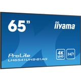 iiyama ProLite LH6541UHS-B1AG, Affichage public Noir brillant
