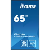 iiyama ProLite LH6541UHS-B1AG, Affichage public Noir brillant