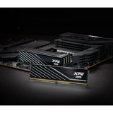 ADATA 32 Go DDR5-6000 (1x 32 Go) mémoire vive Noir, AX5U6000C3032G-SLABBK, XMP 3.0, EXPO