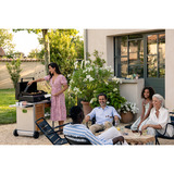 Campingaz  plaque de grill gaz Noir