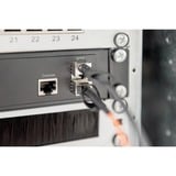 Digitus Câble DAC SFP+ 10G 10m Noir, 10 m, SFP+, SFP+