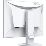 EIZO  24.1" Moniteur  Blanc