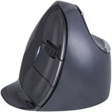 Evoluent Evoluent D souris Droitier RF sans fil 3200 DPI Noir/Argent, Droitier, RF sans fil, 3200 DPI, Noir, Bleu