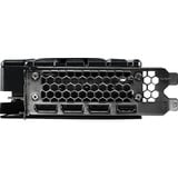Gainward GeForce RTX 5070 Ti Phoenix-S, Carte graphique 