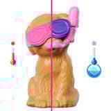 Mattel Barbie Puppy Pool Party - Aloha Blonde 
