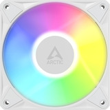 ARCTIC BioniX P12 A-RGB ventilateur de boîtier Blanc, 120 x 120 x 26 mm, PWM