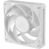 ARCTIC BioniX P12 A-RGB ventilateur de boîtier Blanc, 120 x 120 x 26 mm, PWM