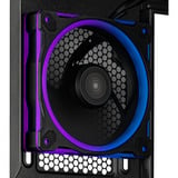 ASUS PRIME AP202 ARGB Mini Tower Noir boîtier midi tower Noir | 2x USB-A | 1x USB-C | RGB | Window
