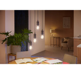 Philips Hue Lampe à filament White Ambiance E27 A60 550 lm, Lampe à LED 
