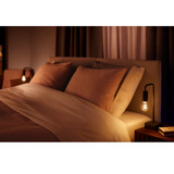Philips Hue Lampe à filament White Ambiance E27 A60 550 lm, Lampe à LED 