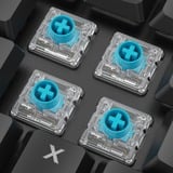 Sharkoon PureWriter W65 RGB clavier mécanique Noir, Layout DE (QWERTZ), Kailh Choc V2 Low Profile Rouge, 65%