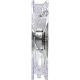 Xilence COO-XPF120.TR Boitier PC Ventilateur Transparent ventilateur de boîtier Transparent, 120 x 120 x 25 mm, Ventilateur, Transparent