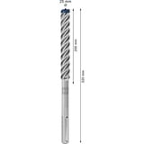 Bosch Expert Foret SDS Max-8X, Perceuse Marteau perforateur, Hammer drill bit, 2,5 cm, 320 mm, Béton, pierre, 20 cm