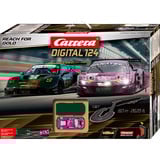 Carrera DIGITAL 124 Reach for Gold, Circuit 