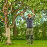 GARDENA Ébrancheur EnergyCut Pro S, Élagueur Gris/Turquoise