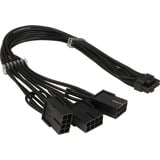 Inter-Tech Câble adaptateur GPU-02 (12+4pin) vers 3x 8pin Noir