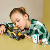 LEGO 60480, Jouets de construction 