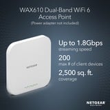 Netgear WAX610 Insight Managed Wireless, Point d'accès Blanc, LAN 2.5GbE