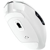 Razer Orochi V2 Mobile Wireless, Souris gaming Blanc, 18.000 dpi, 2.4 GHz + Bluetooth