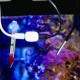 Shelly Capteur de température DS18B20 