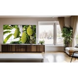 TCL 65T8C 65" Ultra HD TV QLED Noir