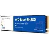 WD  SSD Bleu/Blanc