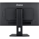 iiyama  ProLite XUB2492HSU-B6 23.8" Moniteur  Noir (Mat), HDMI, DisplayPort, USB, Audio