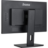 iiyama  ProLite XUB2492HSU-B6 23.8" Moniteur  Noir (Mat), HDMI, DisplayPort, USB, Audio