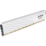 ADATA 16 Go DDR5-6000 (1x 16 Go) mémoire vive Blanc, AX5U6000C2816G-SLABWH, XMP 3.0, EXPO