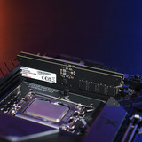 ADATA 16 Go DDR5-6400 (1x 16 Go) mémoire vive AD5CU640016G-S, CUDIMM