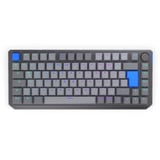 ENDORFY Thock V2 75% Wireless RGB clavier gaming mécanique Gris, Layout DE (QWERTZ), ENDORFY Yellow by Gateron, 75%