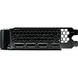 Gainward GeForce RTX 5060 Ti Ghost OC 16GB Reconditionné, Carte graphique 
