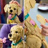 LEGO Icônes chiot Golden Retriever, Jouets de construction 
