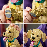 LEGO Icônes chiot Golden Retriever, Jouets de construction 