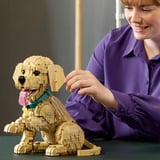 LEGO Icônes chiot Golden Retriever, Jouets de construction 