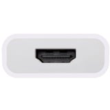 OWC Adaptateur USB, connecteur USB-C > prise HDMI 4K Blanc