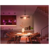 Philips Hue A67 - Ampoule connectée E27 - 1600, Lampe à LED Philips Hue White and Color ambiance A67 - Ampoule connectée E27 - 1600, Ampoule intelligente, Blanc, Bluetooth/Zigbee, LED, E27, 2000 K