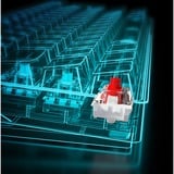 Sharkoon SGK50 S4 clavier USB QWERTY Portuguais Noir Noir, Layout PT, Kailh Red, 60%, 60%, USB, QWERTY, LED RGB, Noir