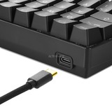 Sharkoon SGK50 S4 clavier USB QWERTY Portuguais Noir, clavier gaming Noir, Layout  PT, Kailh Red, 60%, USB, QWERTY, LED RGB, Noir