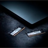 ADATA 8 Go DDR5-5600 (1x 8 Go) mémoire PC portable Noir, AD5S56008G-S, SO-DIMM
