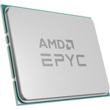 AMD EPYC™ 7313P, Processeur Tray