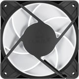 ARCTIC P12 Pro A-RGB, Ventilateur de boîtier Noir, 3 pièces
