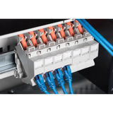 Digitus Boîtier Keystone pour montage sur rail DIN, IP20 Blanc