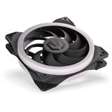 ENDORFY Corona 120 ventilateur de boîtier RGB  Noir, 120 x 120 x 25 mm, PWM