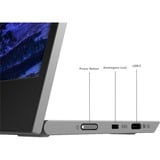 Lenovo L15 Moniteur 15.6"  Noir, 39,6 cm (15.6"), 1920 x 1080 pixels, Full HD, LED, 14 ms, Noir, Gris