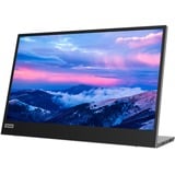 Lenovo L15 Moniteur 15.6"  Noir, 39,6 cm (15.6"), 1920 x 1080 pixels, Full HD, LED, 14 ms, Noir, Gris