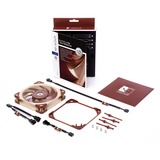 Noctua NF-A12x25 LS-PWM ventilateur de boîtier 120 x 120 x 25 mm