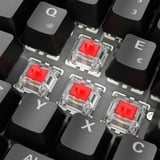 Sharkoon SKILLER SGK50 S2 RGB clavier gaming mécanique Noir, Layout DE (QWERTZ), Gateron Red, 96%